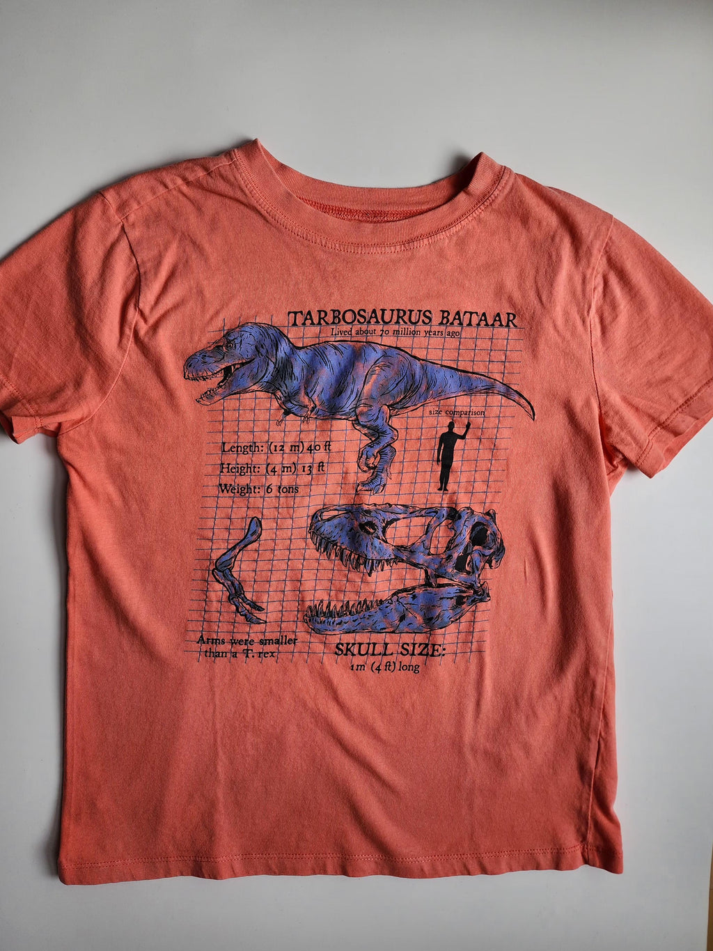 Tee-shirt Carter's – Taille L 8-10 ans – Très bon état