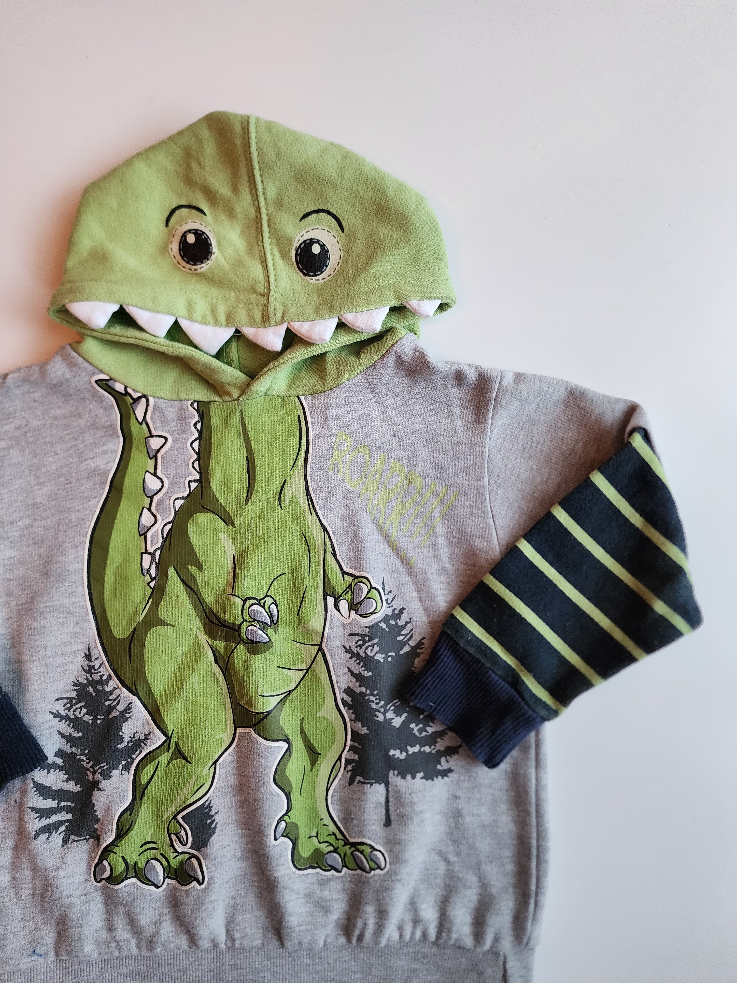 Sweat Capuche Little Rebels – 4 ans – Très bon état