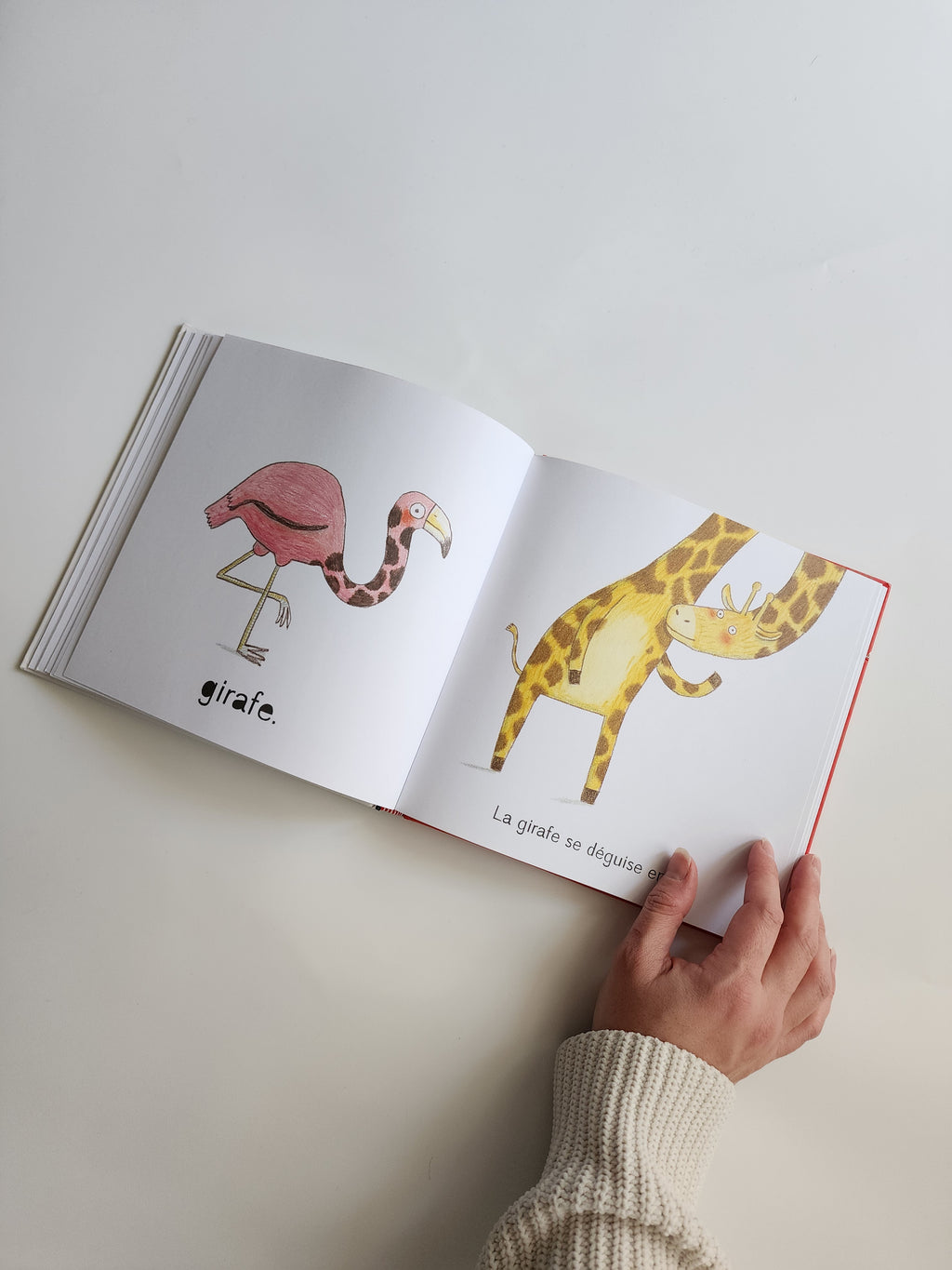 Livre Au Carnaval des animaux FR – Neuf