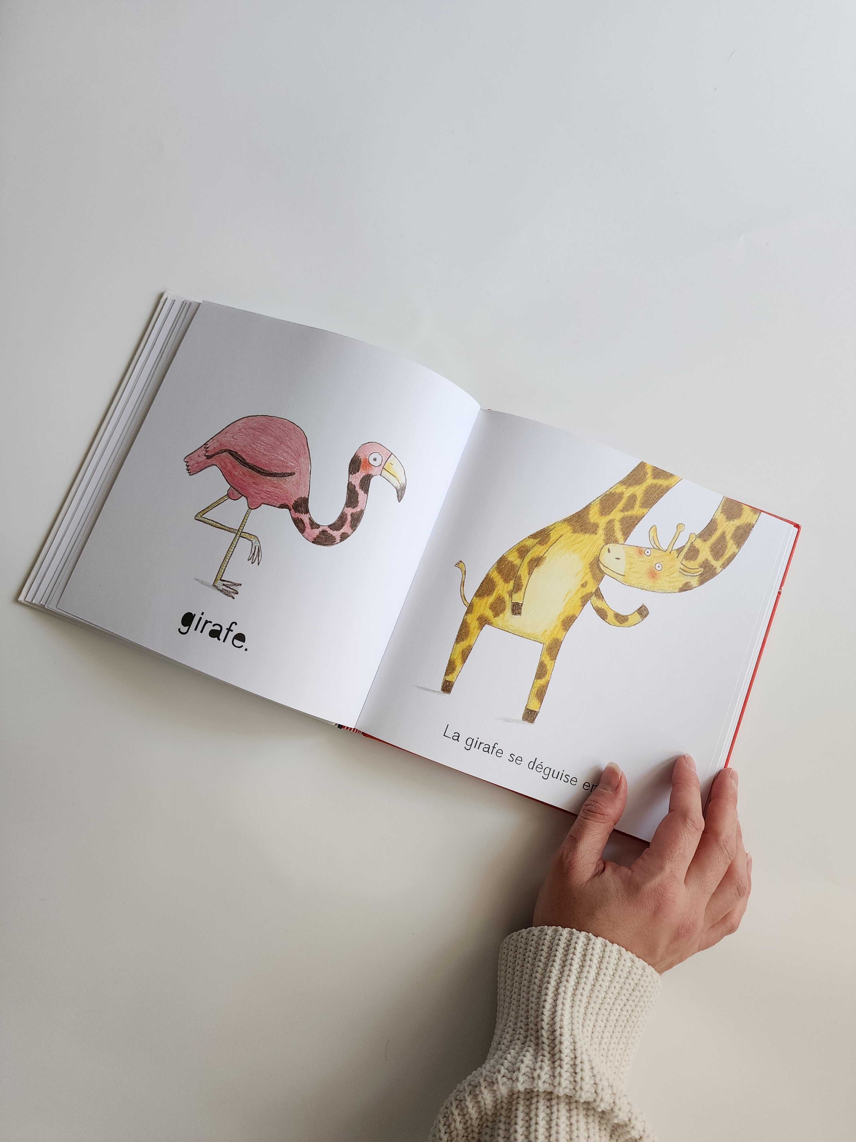Livre Au Carnaval des animaux FR – Neuf