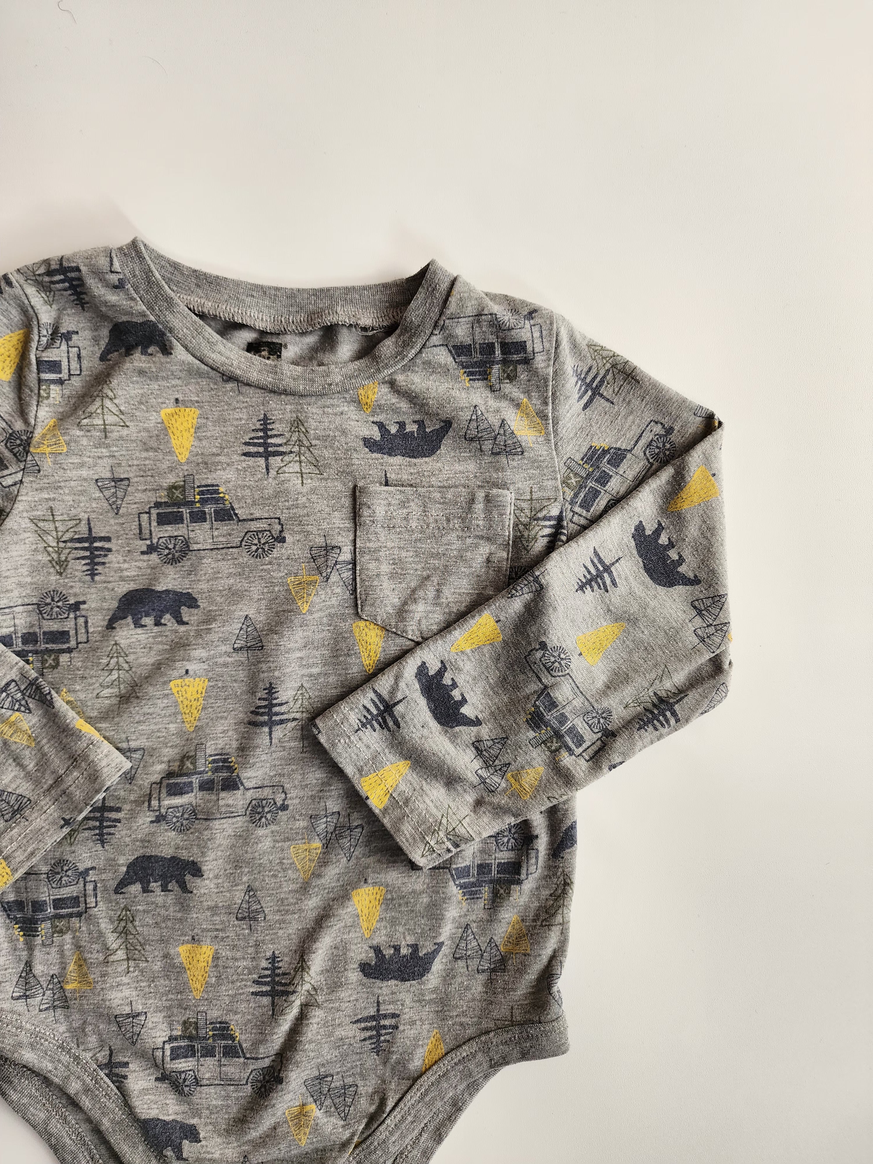 Body Tag 95% coton – 2 ans – Très bon état *voir note